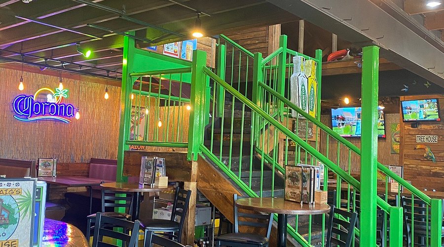 Crazy Craig’s Treehouse